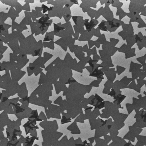 A scanning electron microscope image shows tungsten disulfide grown on a sapphire substrate (light area). The medium gray area shows monolayer tungsten disulfide and the dark area shows multilayer tungsten disulfide. After growing the tungsten disulfide on the sapphire, researchers transfer it onto europium sulfide. Image: Chuan Zhao