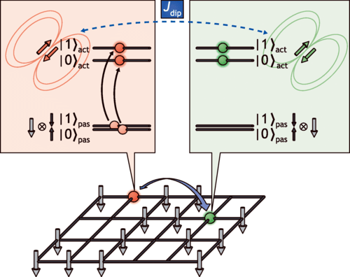 New blueprint for more stable quantum computers