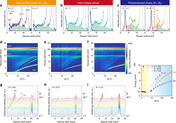 Unique Majorana particles found in a magnetic material