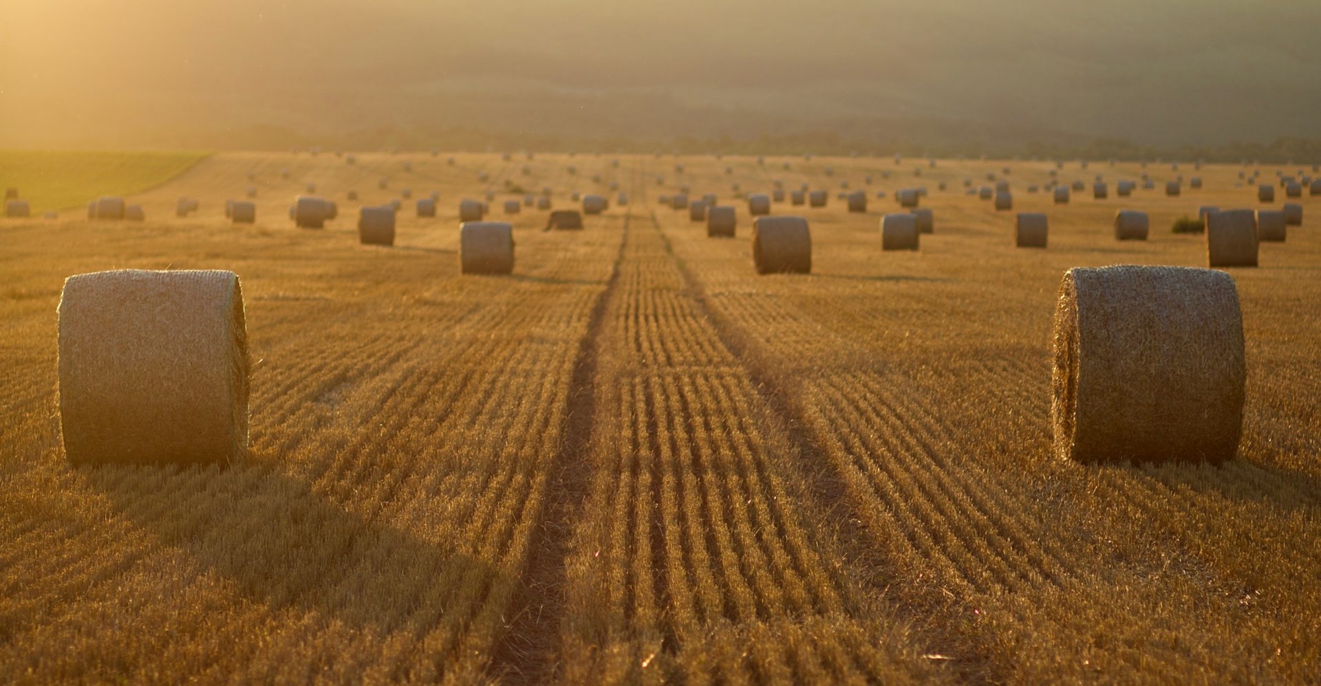 Quantum Computing applications for Agriculture