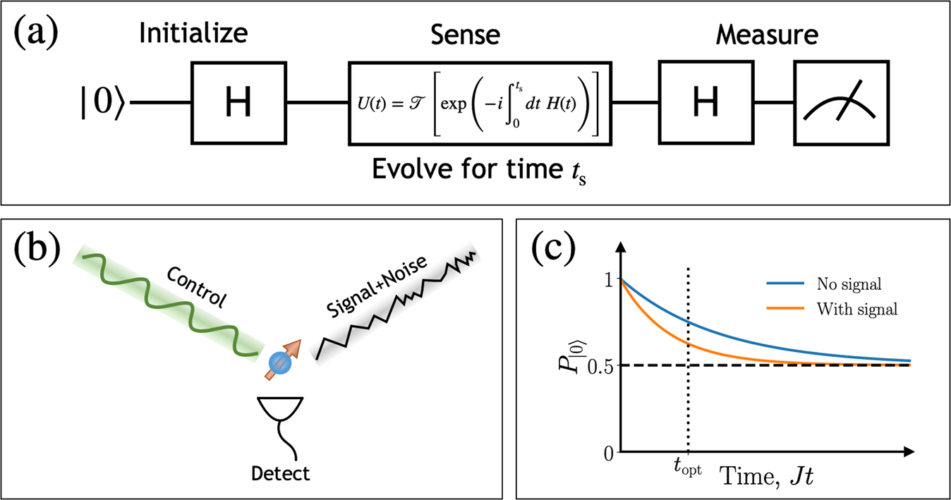 Optimal control for quantum detectors