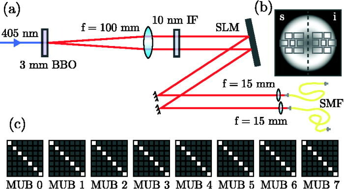 Schematic of experiment to generate and measure high-dimensional entanglement in the pixel basis. BBO = type I beta barium borate; IF = interference filter; SLM = spatial light modulator; SMF = single-mode fiber. The distance from the crystal to the f = 100 mm lens is 100 mm; the distance from the lens to the SLM is ≈300 ≈ 300  mm.