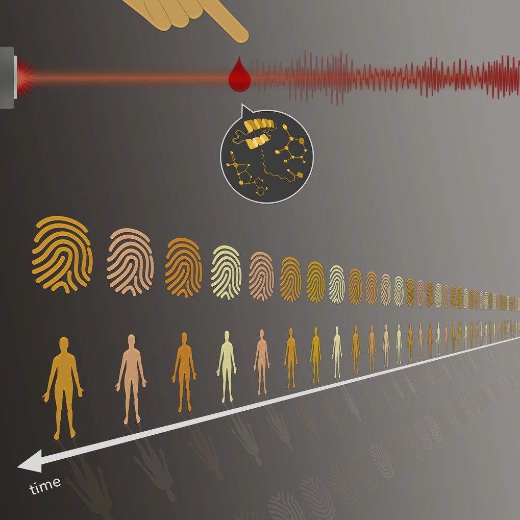 Innovative Blood Test Based on Infrared Light