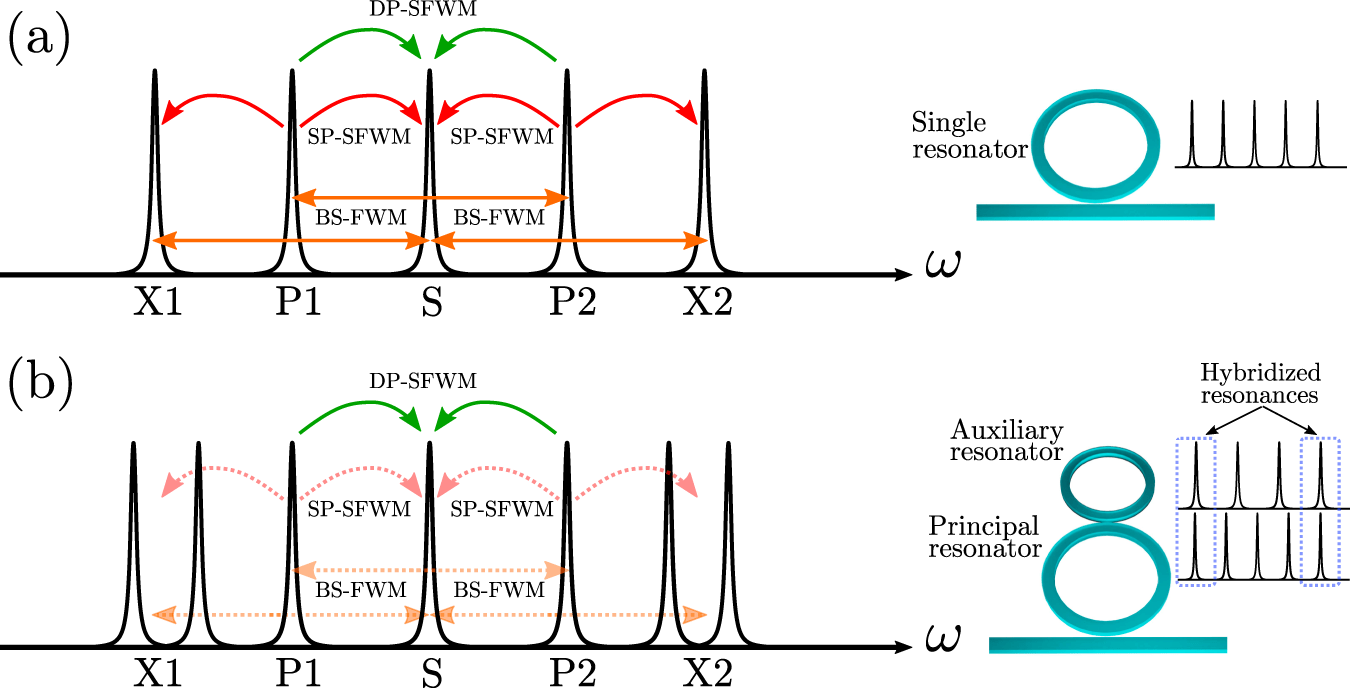 Squeezed light nanophotonic molecule: Resonance structure