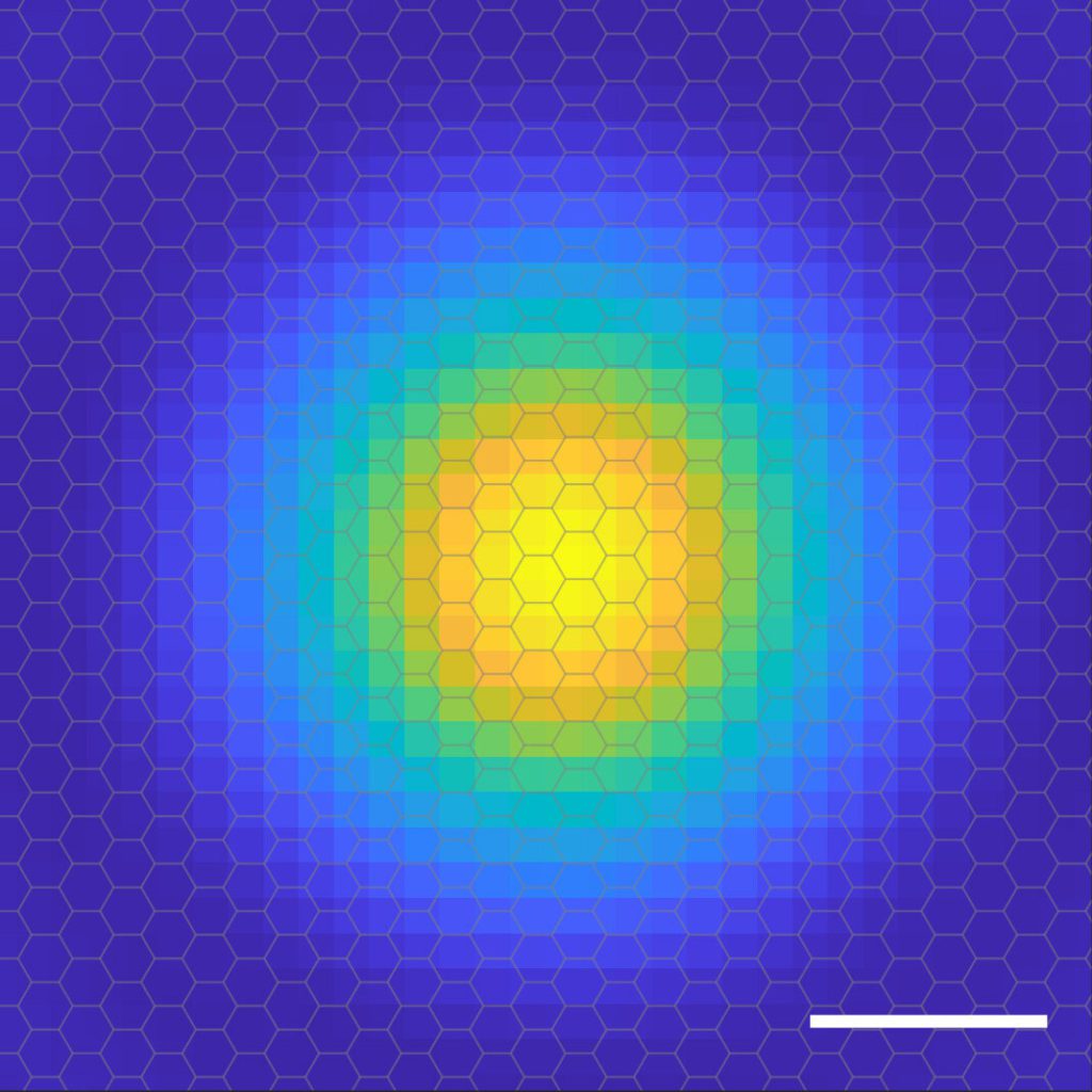 n the physics of the very tiny, strange quantum concepts apply. Electrons act as both particles and waves and it is therefore impossible to know both the position and the momentum of an electron at the same time. Instead, an exciton's probability cloud shows where the electron is most likely to be found around the hole. The research team generated an image of the exciton's probability cloud by measuring the wavefunction. Credit: OIST