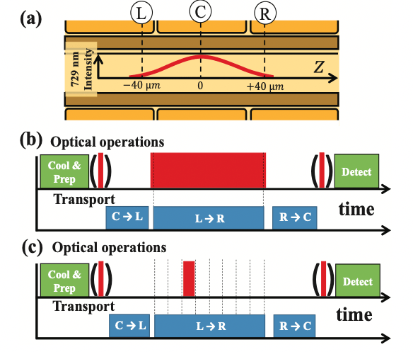 New approach transports trapped ions to create entangling gates