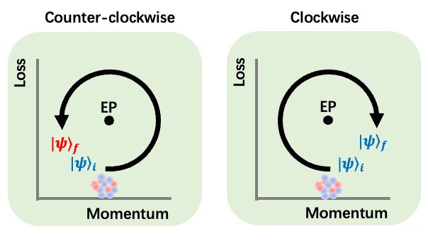 Gaining quantum control from loss