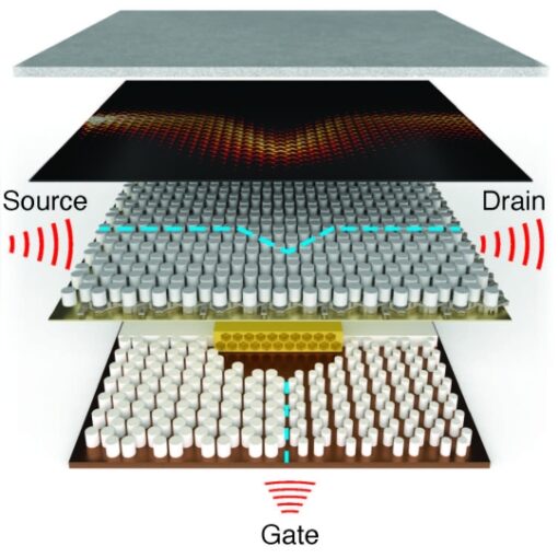 To turn ‘on’ an acoustic transistor, ultrasound arriving at the ‘gate’ input heats and expands the base plate, changing the spacing in two lattices of slightly-different-sized pillars, and inducing a topological transition that guides sound along the interface. (Credit: Hoffman Lab/Harvard SEAS)