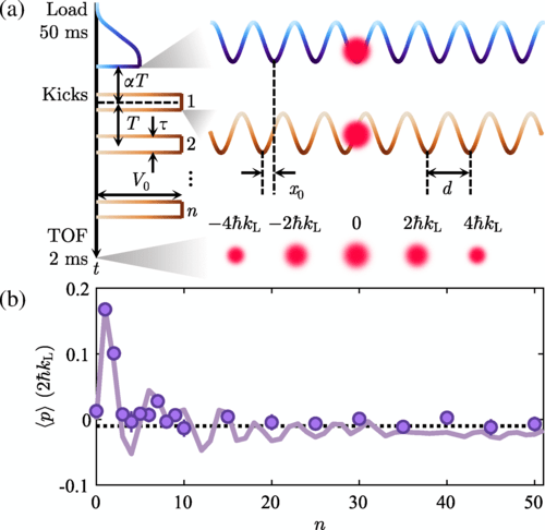 Observation of the quantum boomerang effect.