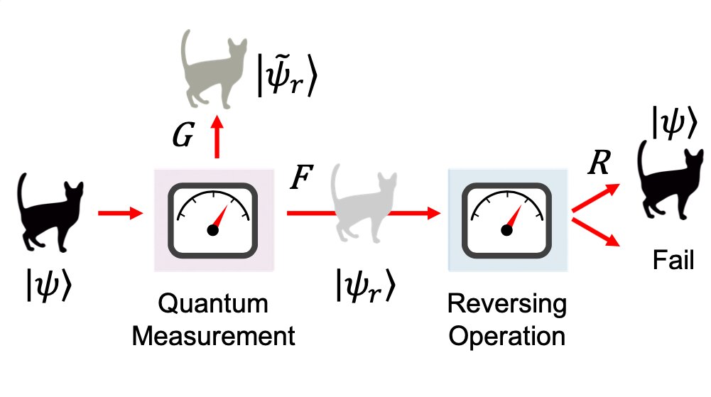 Quantum measurements: gain, disturbance and reversibility