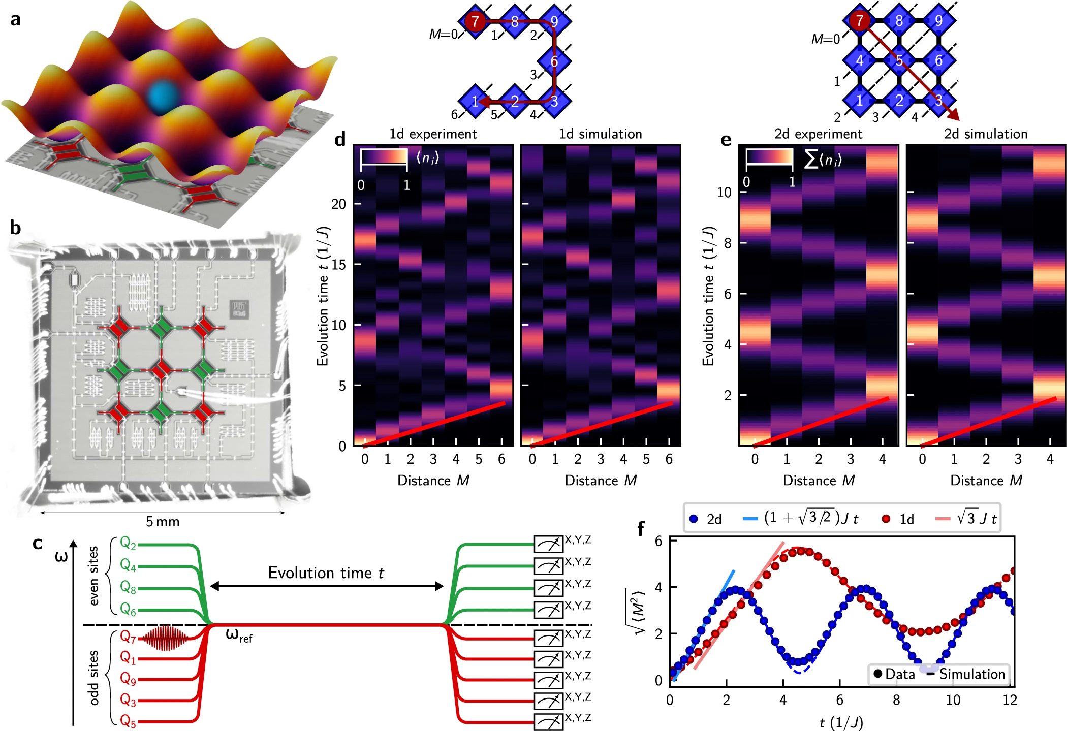 Quantum transport and localization in 1d and 2d tight-binding lattices