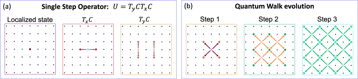 Scheme of a two-dimensional quantum walk.