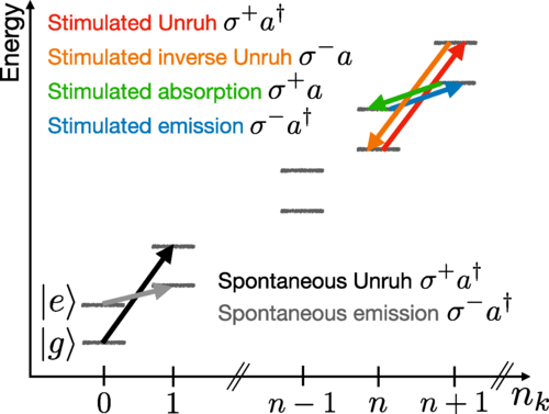 New approach to detect the elusive Unruh effect