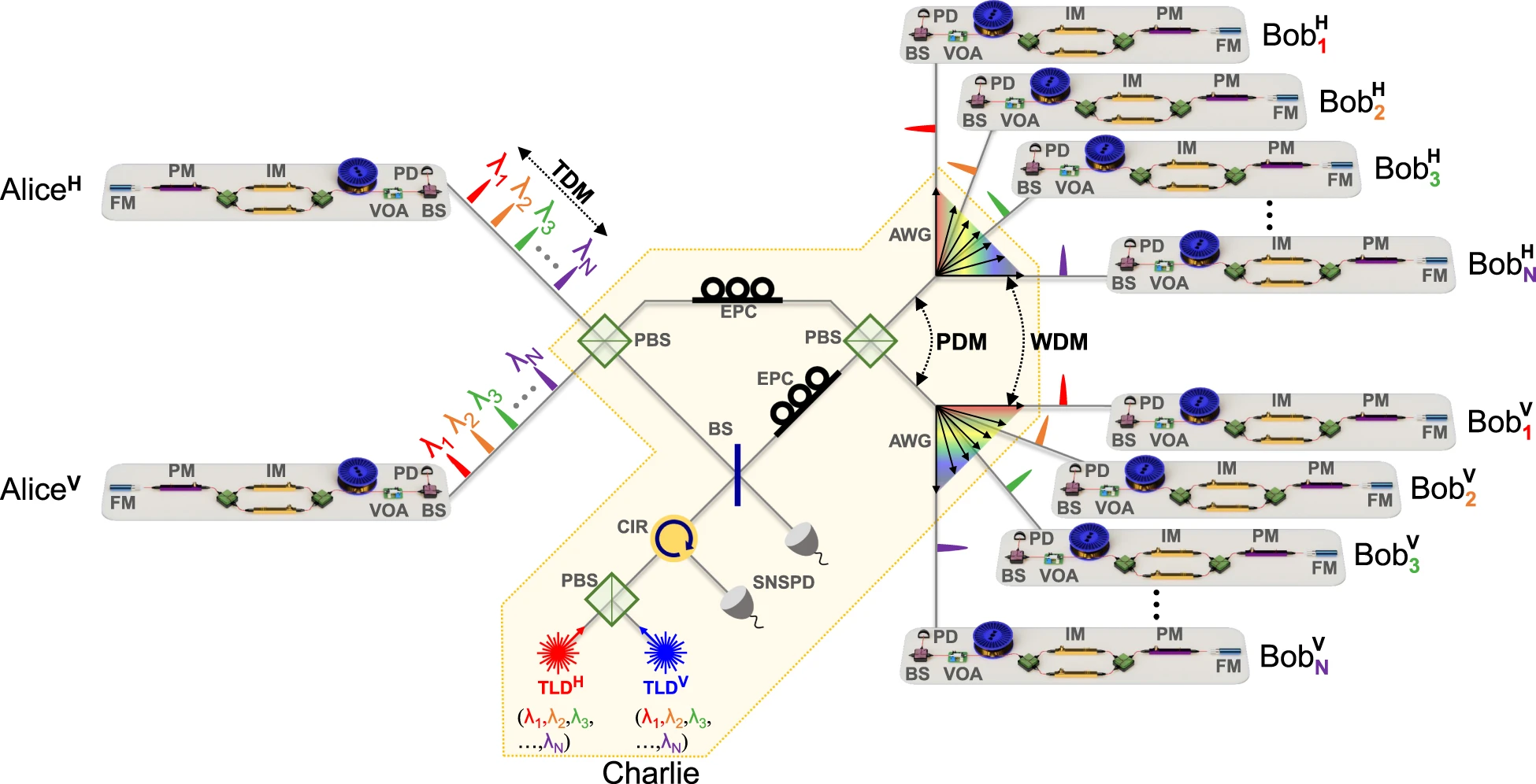 2×N twin-field quantum key distribution network configuration