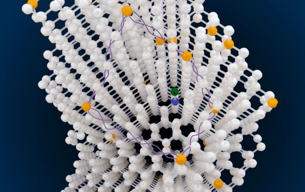 Model of the quantum processor used in the research. The qubits are formed by the nitrogen-vacancy center (green and blue), and 13C nuclear spins (orange). By spreading out a single qubit of information over 5 entangled spin qubits (purple connections), a logical qubit of information is formed that can be operated fault tolerantly. Credit: Taminiau lab at QuTech.