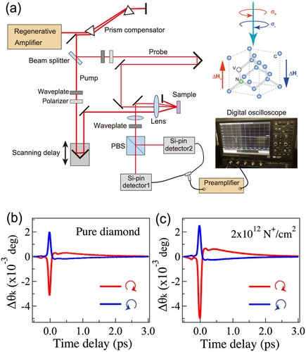 Ultrafast Quantum sensing with diamonds