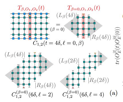 Light cone tensor network and time evolution