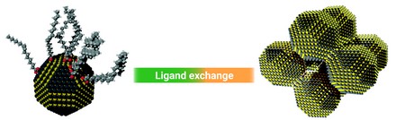 Colloidal quantum dots with truncated cube shape and their original ligands (organic molecules) assembling into an ordered superlattice after the ligand exchange. | Illustration Jacopo Pinna