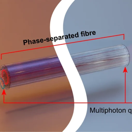 Quantum light transport in phase-separated Anderson localization fiber