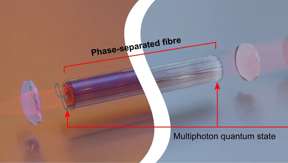 Quantum light transport in phase-separated Anderson localization fiber