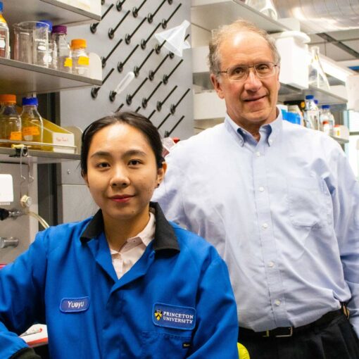 Professor Michael Hecht and co-author on the quantum dot research Yueyu Yao in Frick Laboratory. Photo by Jesse Condon