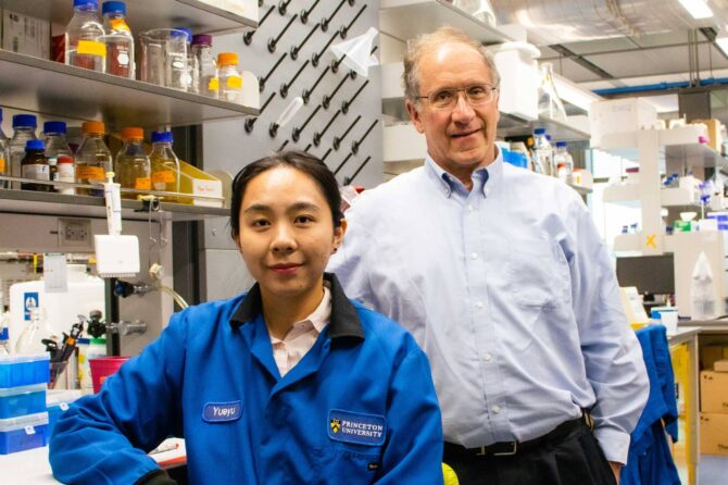 Professor Michael Hecht and co-author on the quantum dot research Yueyu Yao in Frick Laboratory. Photo by Jesse Condon