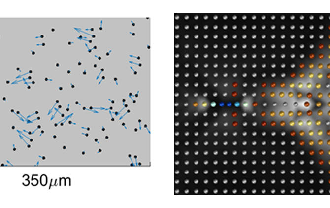 Figure 1. Left: Experimental measurement of colloidal particles driven in a thin microfluidic channel. The particles form stable, hydrodynamically coupled pairs moving at the same velocity (arrows). These pairs are the fundamental quasiparticles of the system. Right: Simulation of a hydrodynamic crystal, showing a quasiparticle pair (leftmost yellow and orange particles) propagating in a hydrodynamic crystal, leaving behind a supersonic Mach cone of excited quasiparticles. Colors denote the magnitude of the pair excitation, and the white background denotes their velocity (see movie).