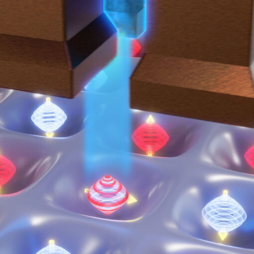 Researchers at the University of Rochester developed a new method for manipulating information in quantum systems by controlling the spin of electrons in silicon quantum dots. Electrons in silicon experience a phenomenon called spin-valley coupling between their spin (up and down arrows) and valley states (blue and red orbitals). When researchers apply a voltage (blue glow) to electrons in silicon, they harness the spin-valley coupling effect and can manipulate the spin and valley states, controlling the electron spin. (University of Rochester illustration / Michael Osadciw)