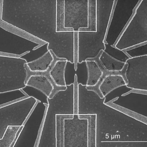 A scanning electron microscope image of the "two-island" device, which researchers hope will pave the way toward a quantum simulator. (Winston Pouse/Stanford University)