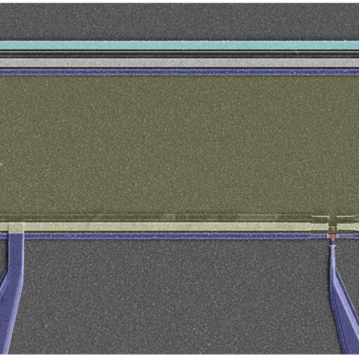 The thermodynamics of quantum computing