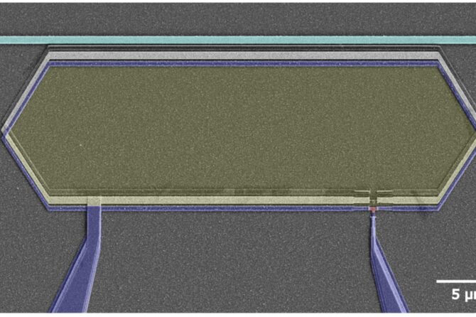 The thermodynamics of quantum computing