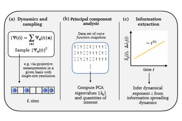 Quantum transport from wave function snapshots