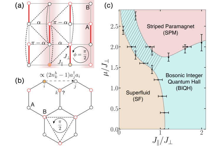 Flux attachment for bosons on a lattice