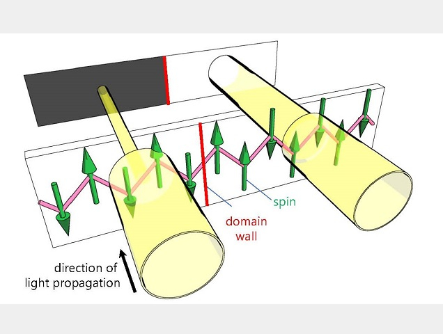 Visualization diagram of magnetic domains in a quantum antiferromagnet using nonreciprocal directional dichroism