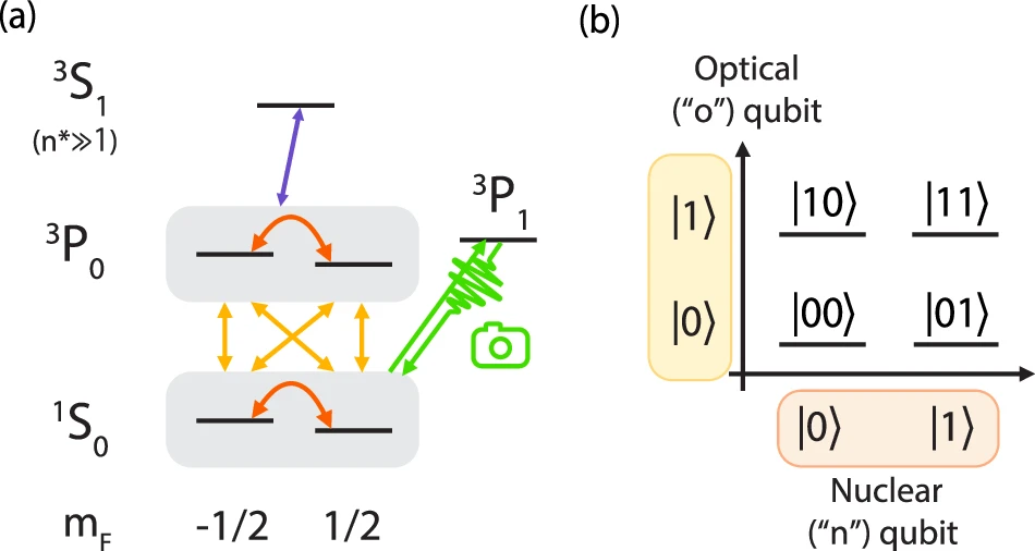 An architecture for two-qubit encoding in neutral ytterbium-171 atoms