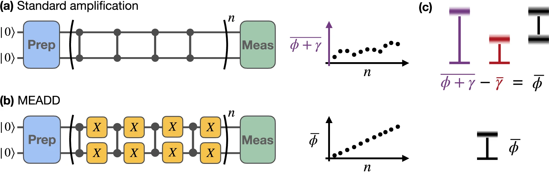 Characterizing quantum coherent errors using matrix-element amplification