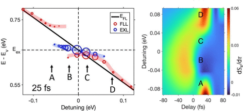 Unprecedented Real-Time Capture of Quantum Information