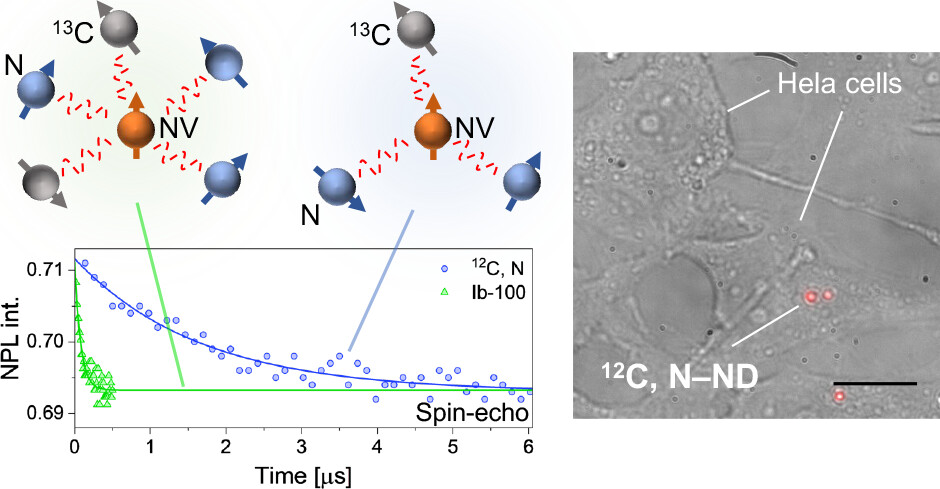 Next-Generation Nanodiamond Sensors Achieve Quantum-Grade Performance