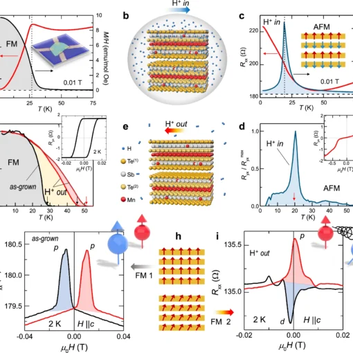 Hydrogen-induced transitions between disparate spin orders in MnSb2Te4.