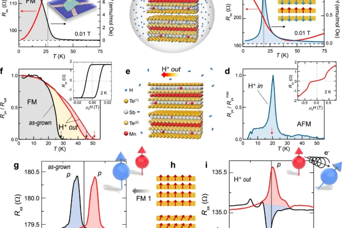 Hydrogen-induced transitions between disparate spin orders in MnSb2Te4.