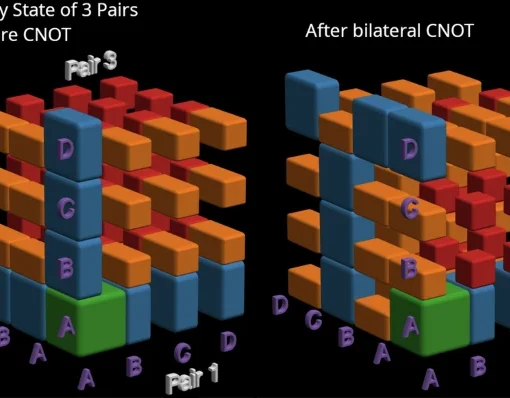 Graphical representation of a noisy 3-qubit Werner state and the effect of a CNOT gate (interpreted as a permutation of the basis).