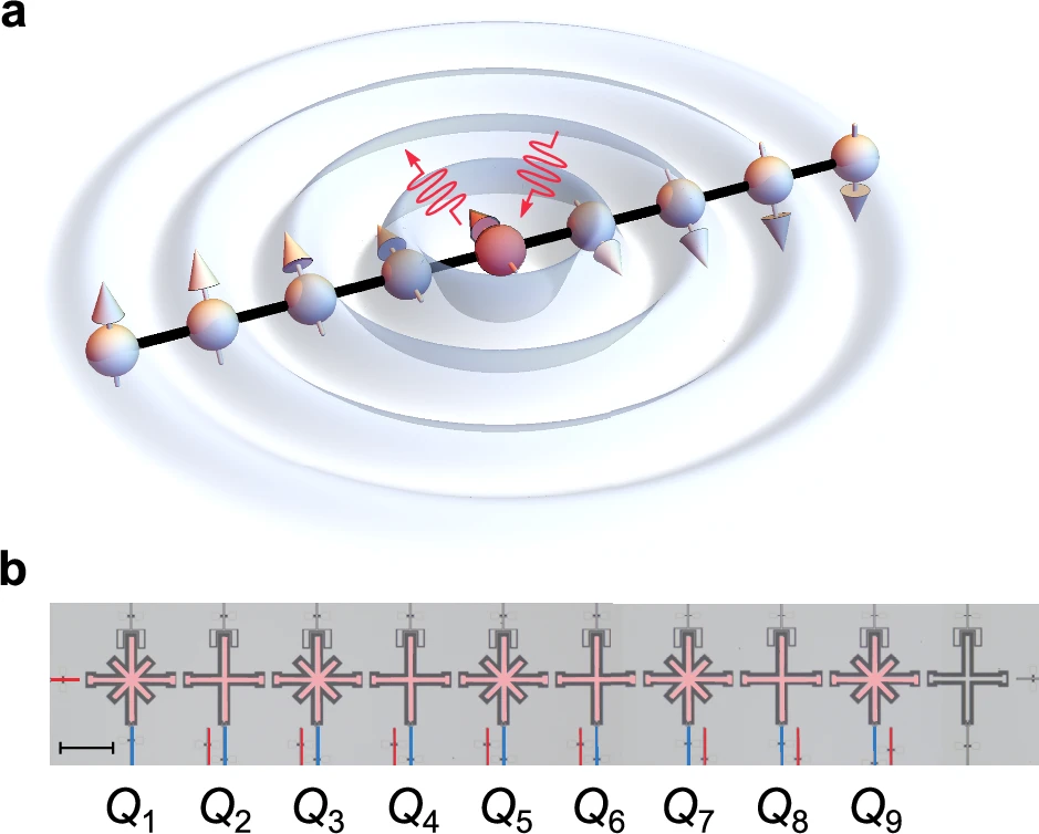 Observation of multiple steady states with engineered dissipation