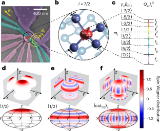 Antimony Atom Brings Schrödinger’s Cat to Life