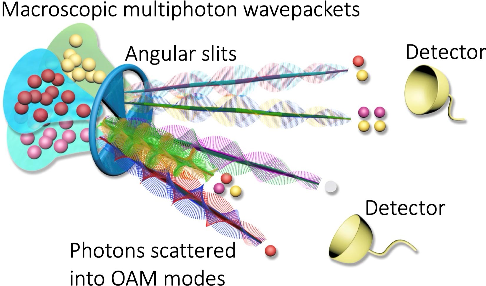 Quantum Coherence Discovered in Classical Light