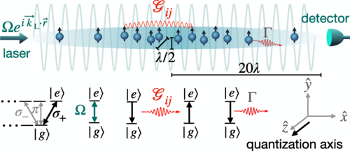 Superradiance: Contrasting Behavior in Optical Cavities versus Free Space