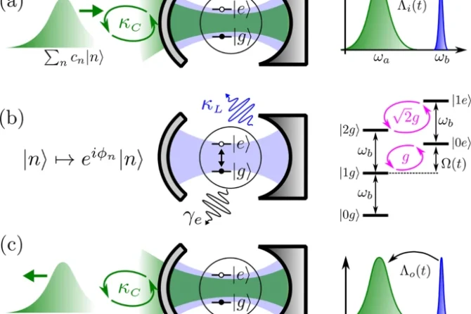 Schematic representation of the system and steps of the gate protocol.