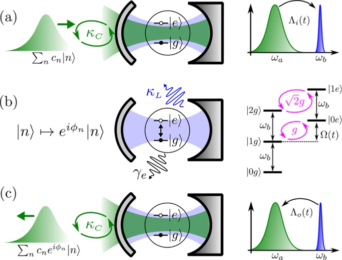 Schematic representation of the system and steps of the gate protocol.