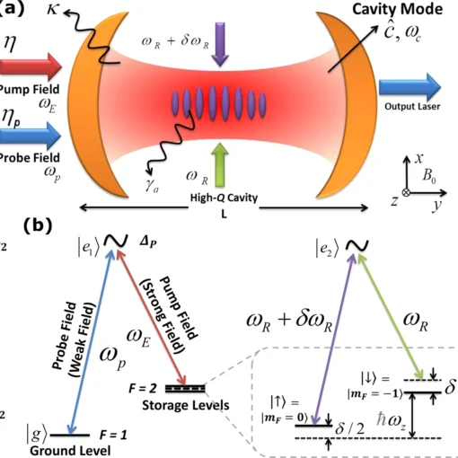 Topological nonlinear optics with spin-orbit coupled Bose-Einstein condensate in cavity