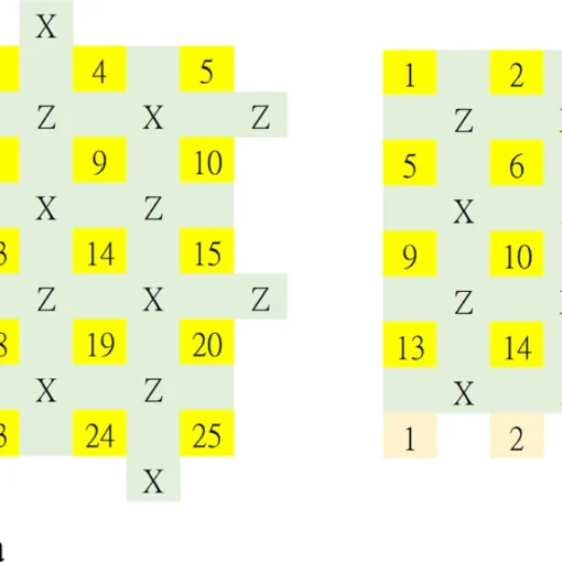 The lattice representations of (rotated) surface and toric codes.