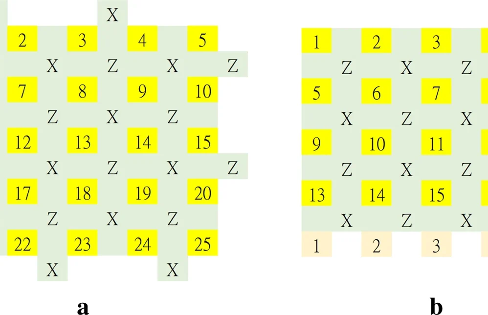 The lattice representations of (rotated) surface and toric codes.